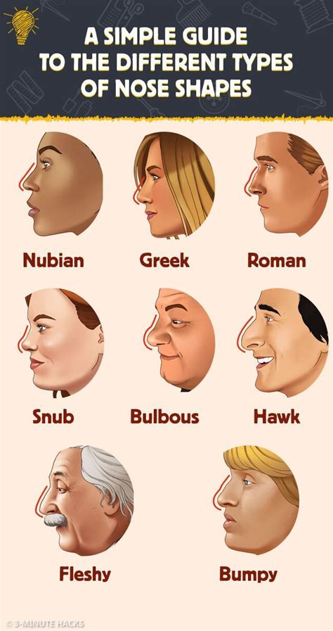 Easy Guide To The Different Types Of B.